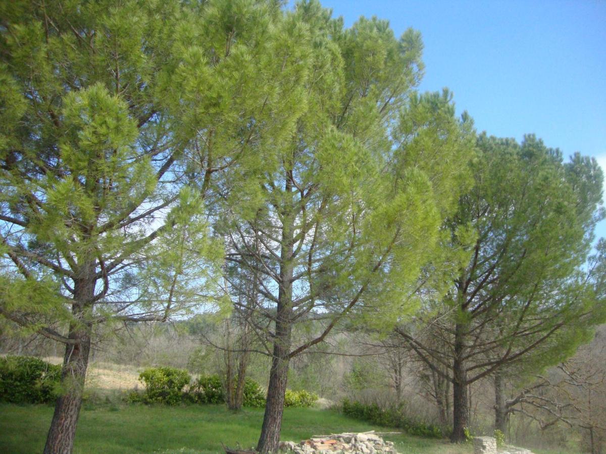 Вилла La Croix Du Sud - Ocres En Provence Апт Экстерьер фото